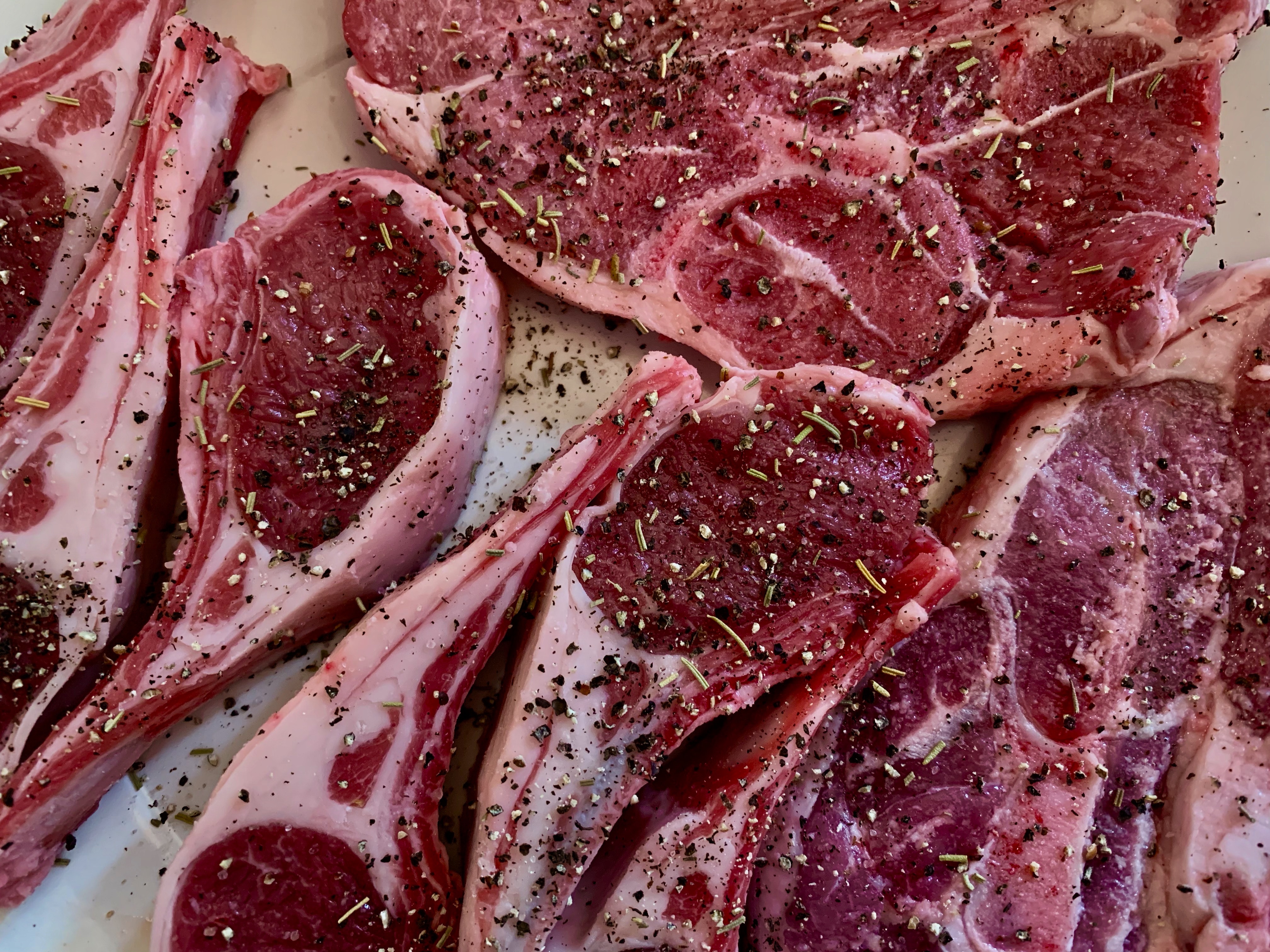 Lamb